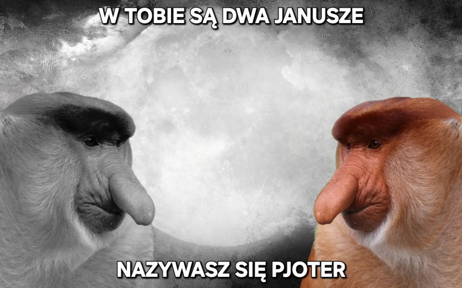 Dzieło sztuki #11335
