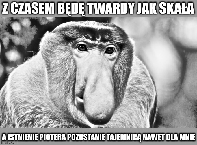 Dzieło sztuki #11338