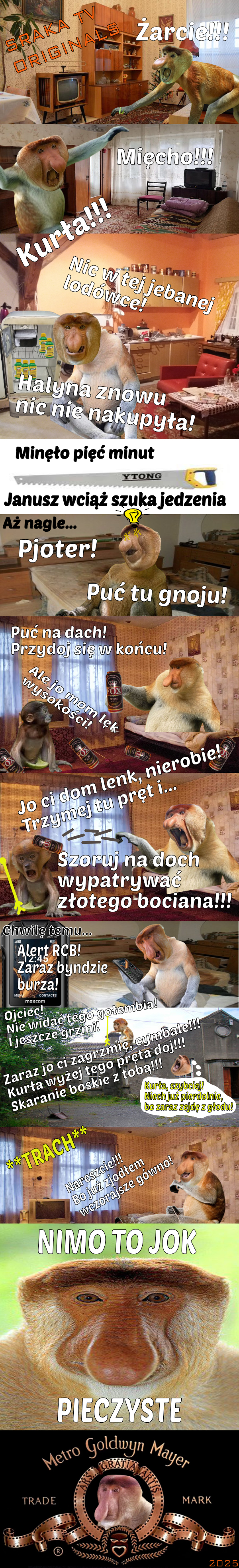 Dzieło sztuki #11341