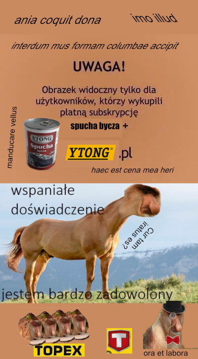 Dzieło sztuki #11345