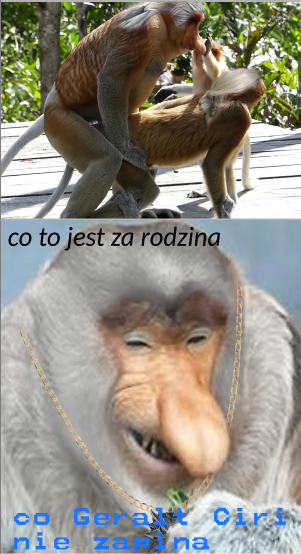 Dzieło sztuki #11354