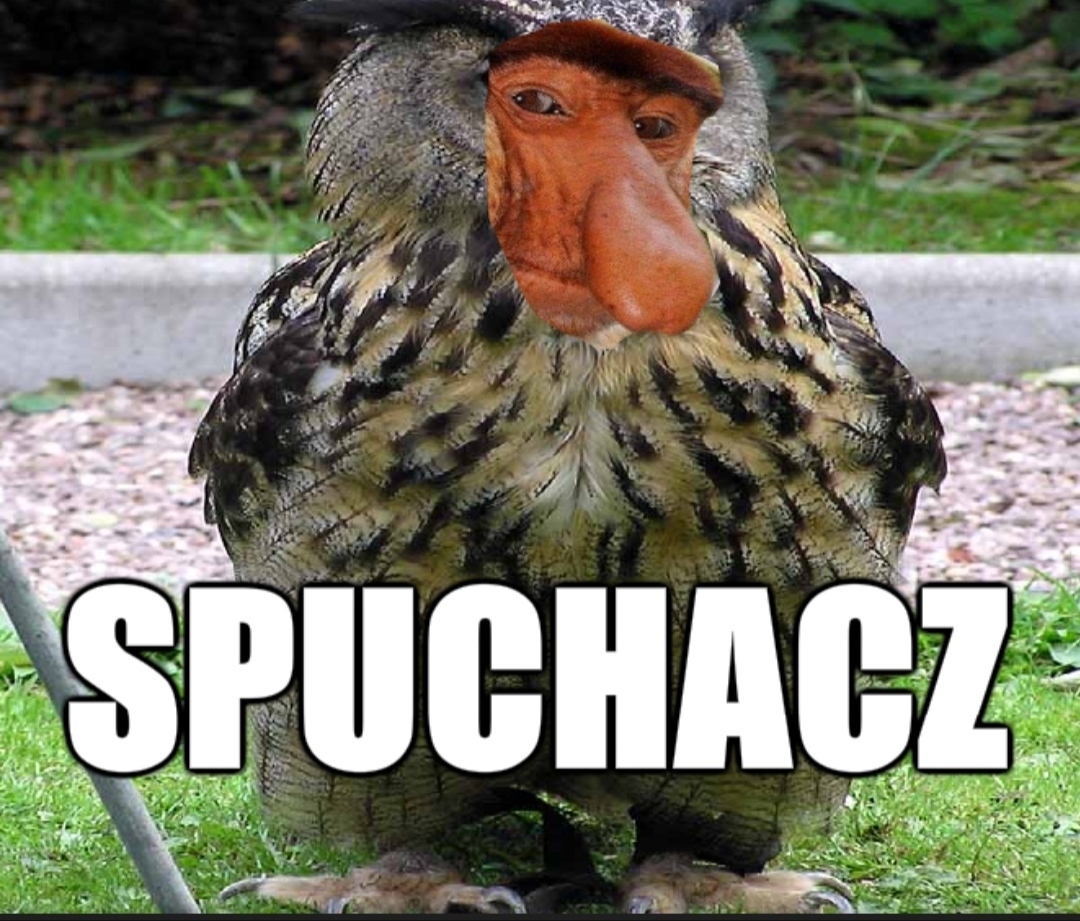 Dzieło sztuki #11361