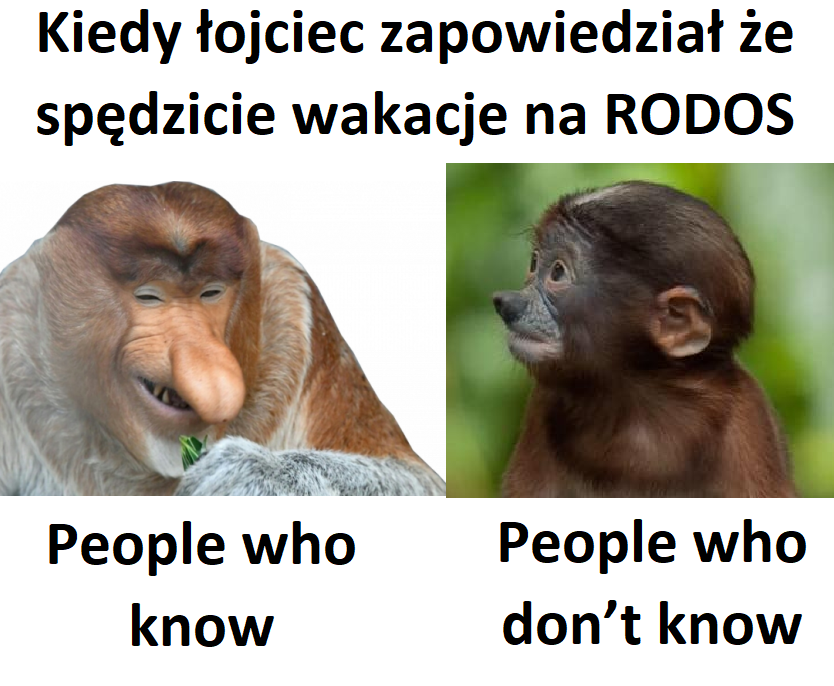 Dzieło sztuki #11366