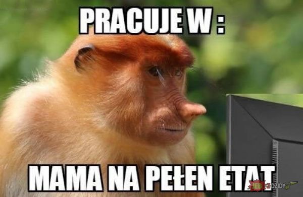 Dzieło sztuki #11382