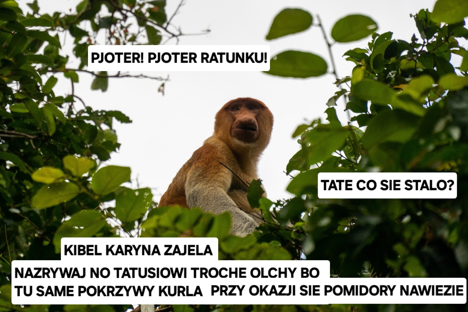 Dzieło sztuki #11385