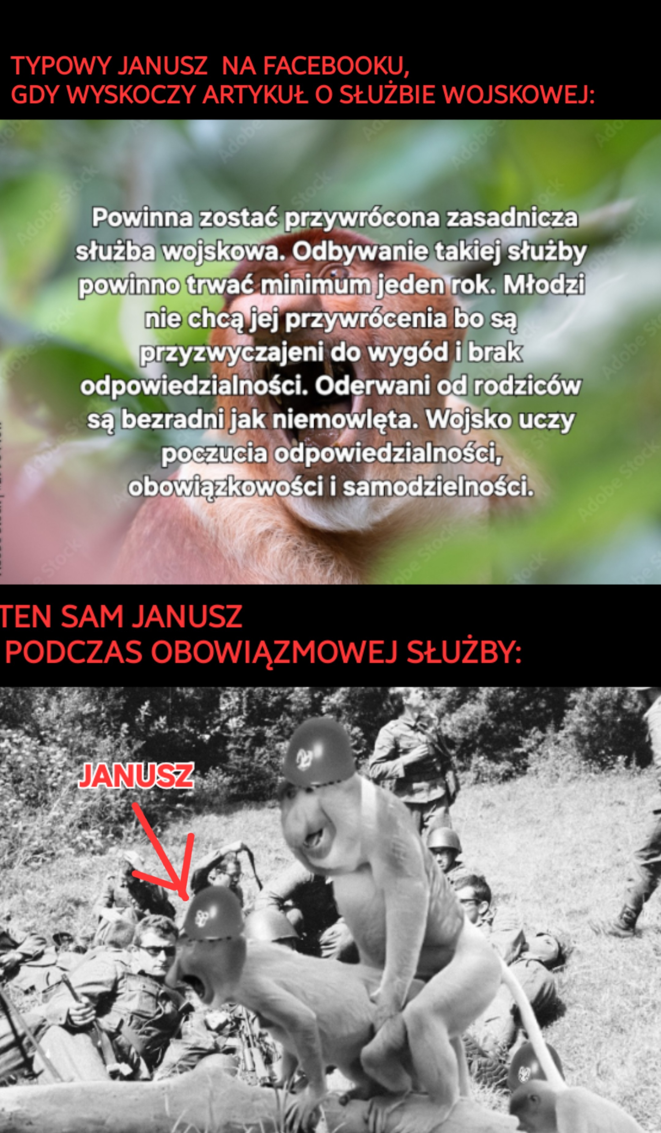 Dzieło sztuki #11397