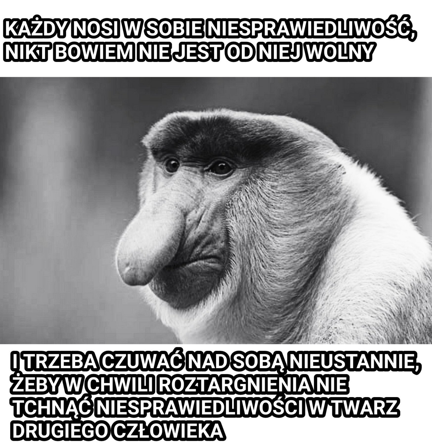 Dzieło sztuki #11404