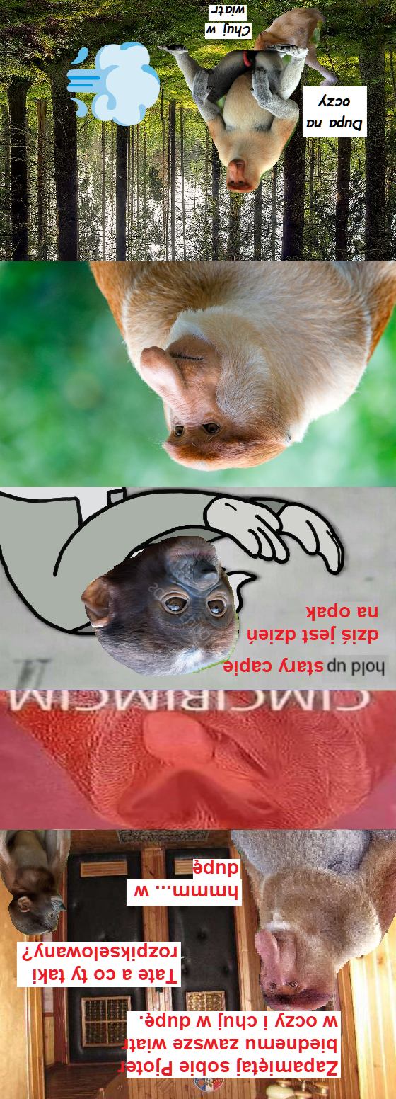 Dzieło sztuki #11426