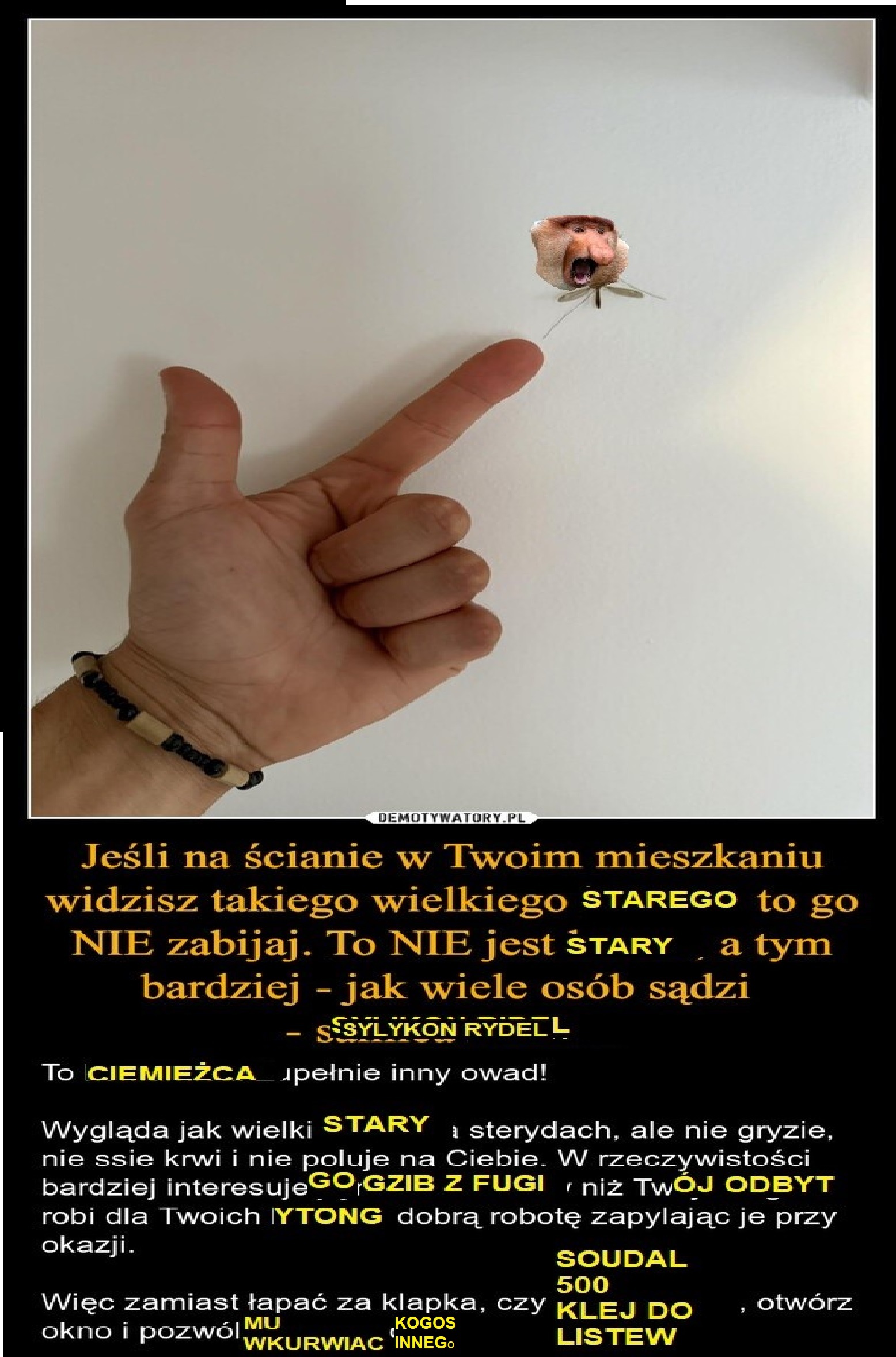 Dzieło sztuki #11465