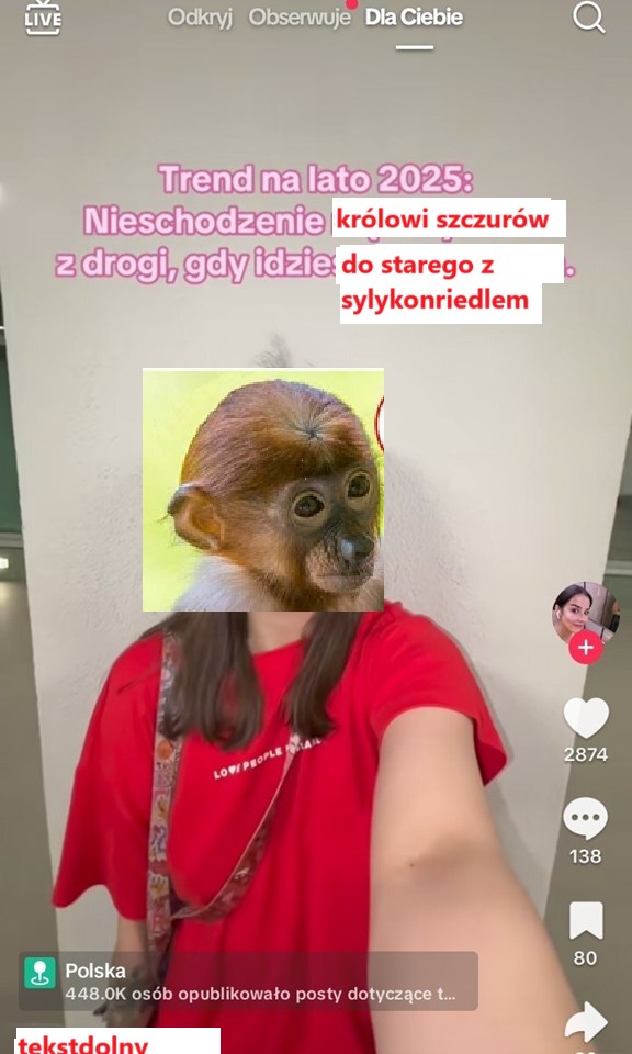 Dzieło sztuki #11474