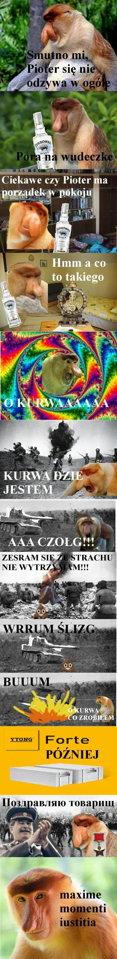 Dzieło sztuki #11483