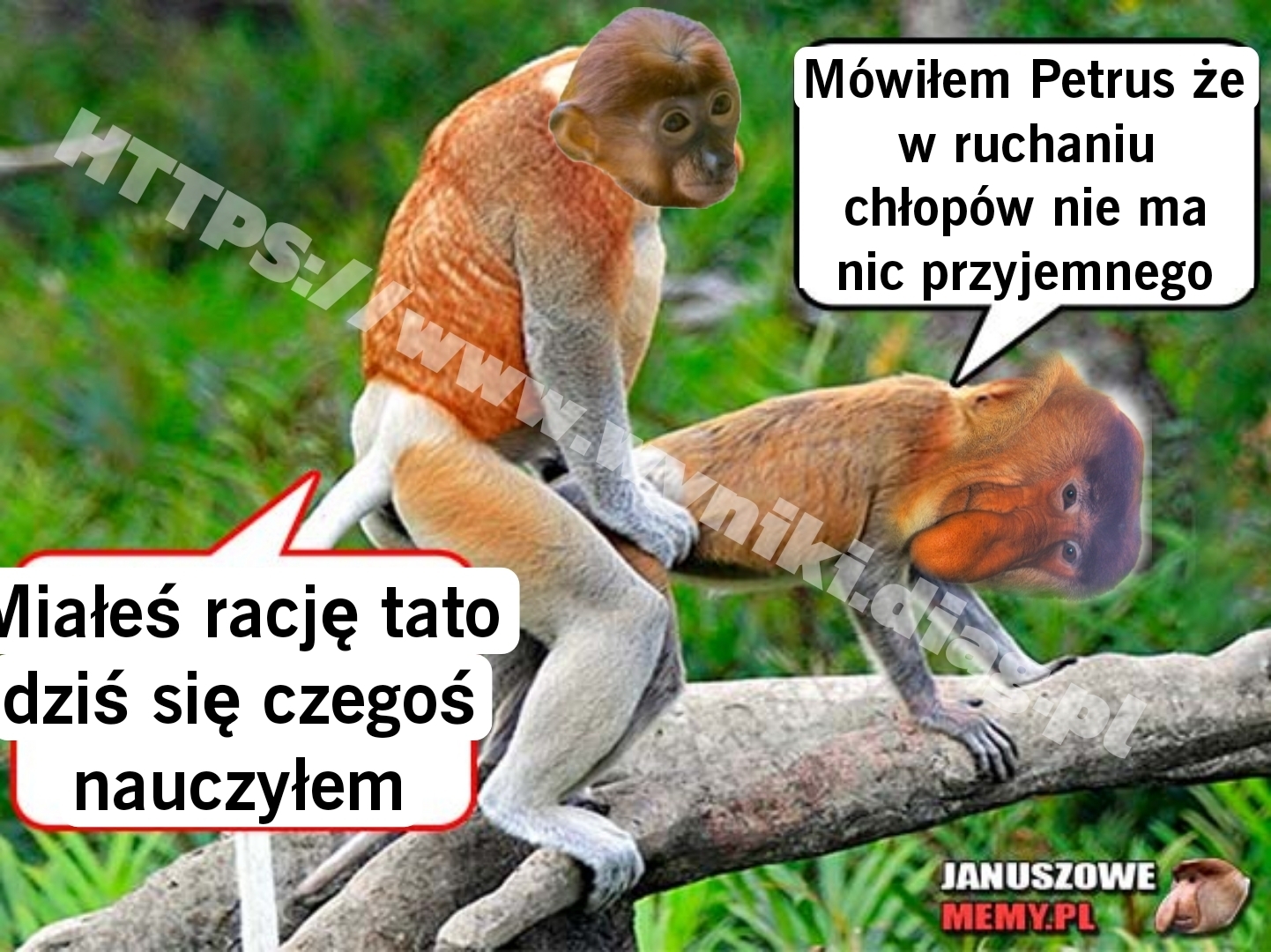 Dzieło sztuki #11487