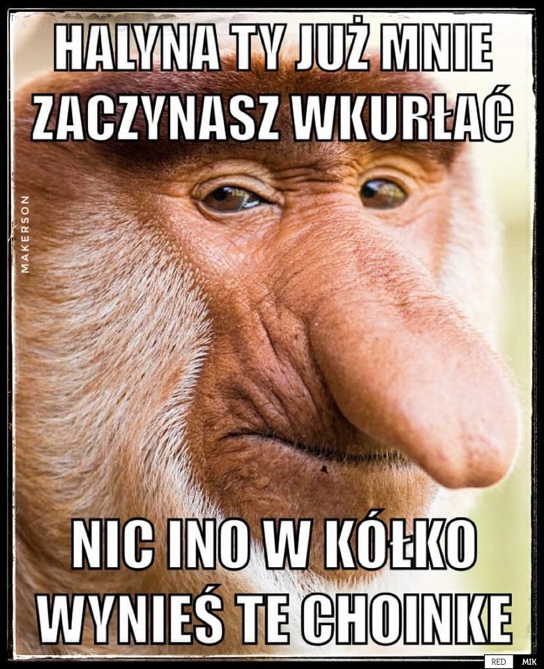 Dzieło sztuki #11488
