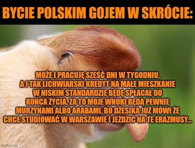 Dzieło sztuki #11499