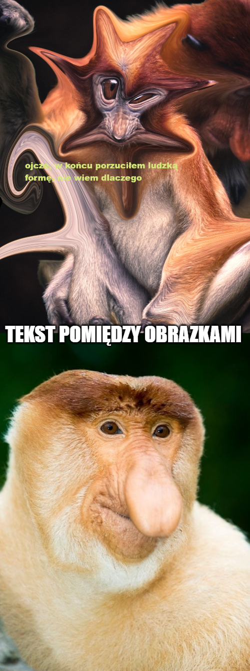 Dzieło sztuki #11510
