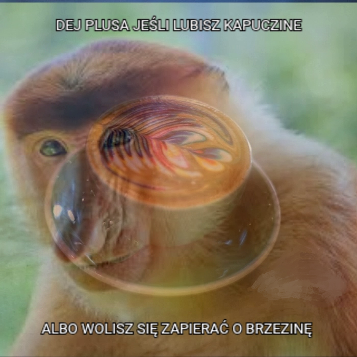 Dzieło sztuki #11570