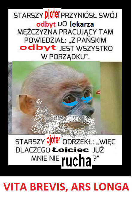 Dzieło sztuki #11584