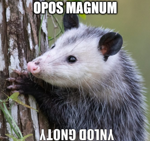 Dzieło sztuki #11585