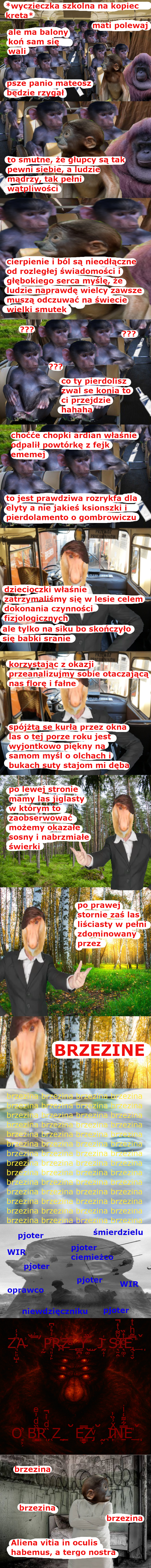 Dzieło sztuki #11589