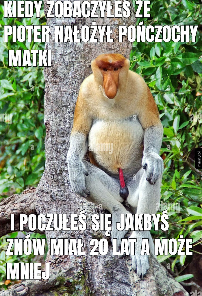 Dzieło sztuki #11591