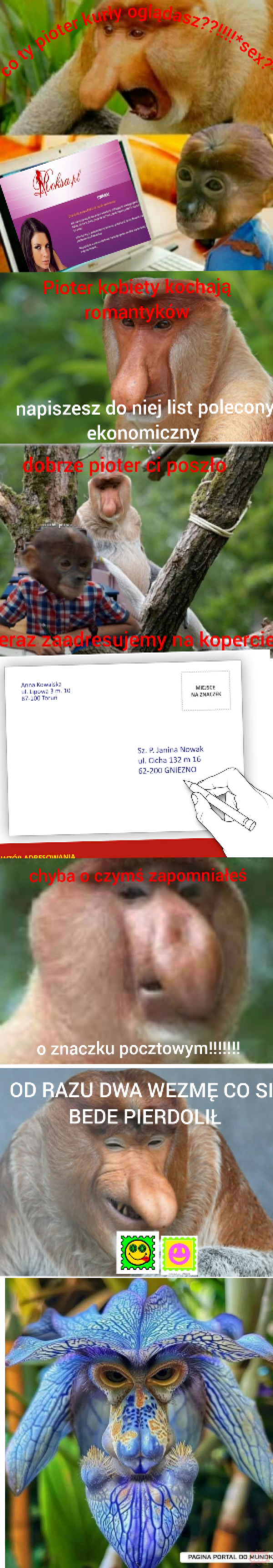 Dzieło sztuki #11593