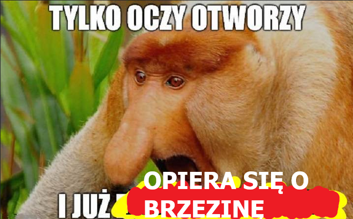 Dzieło sztuki #11600