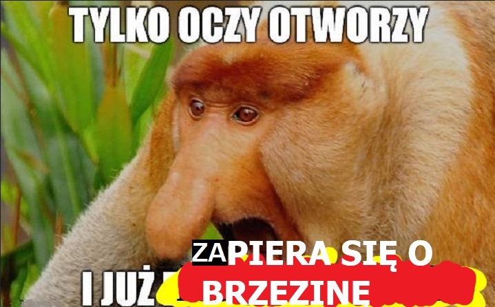 Dzieło sztuki #11605