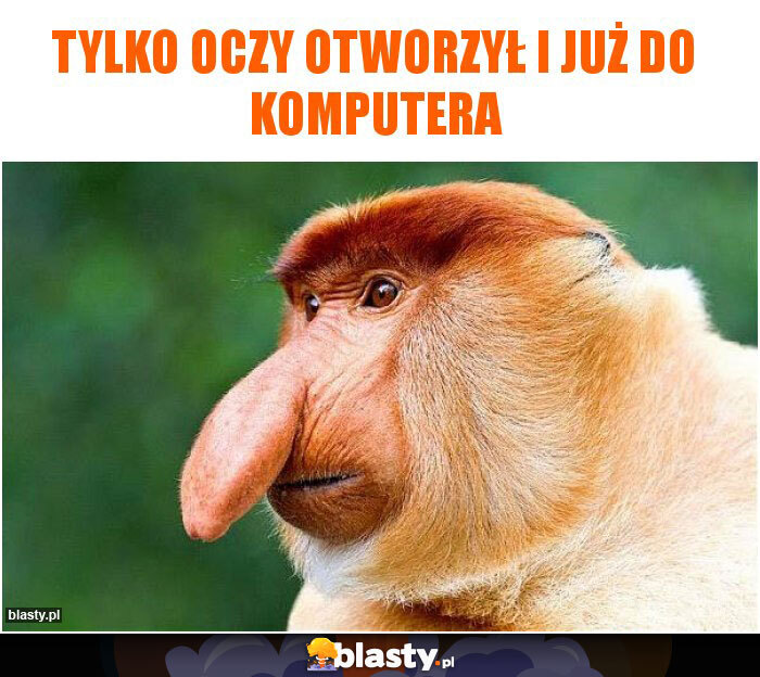 Dzieło sztuki #11608