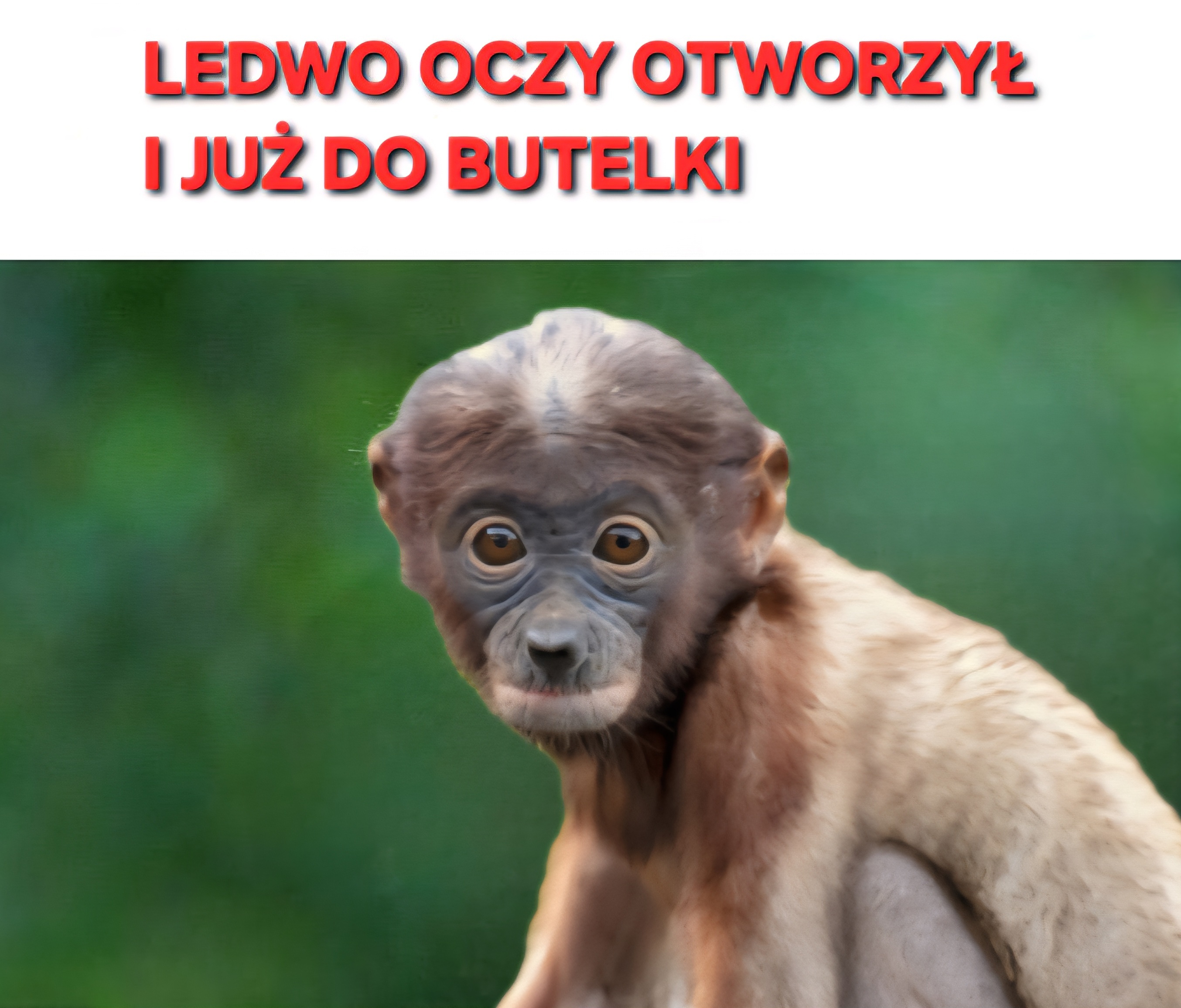Dzieło sztuki #11612