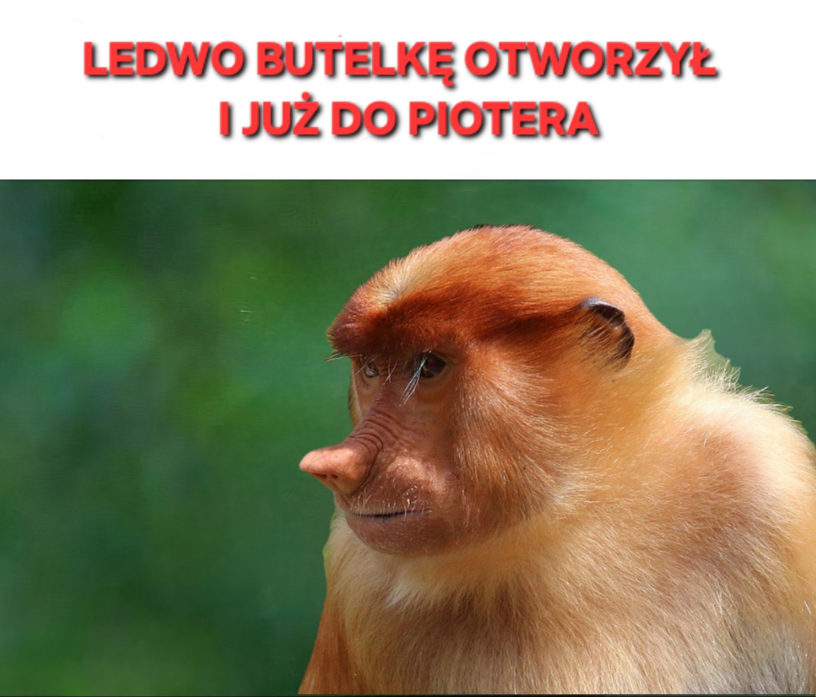 Dzieło sztuki #11613