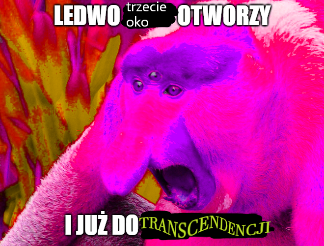 Dzieło sztuki #11622