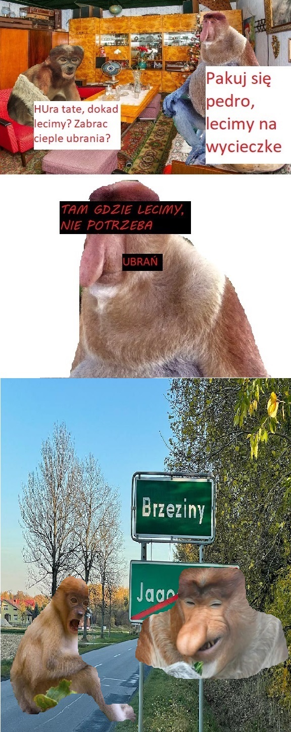 Dzieło sztuki #11631