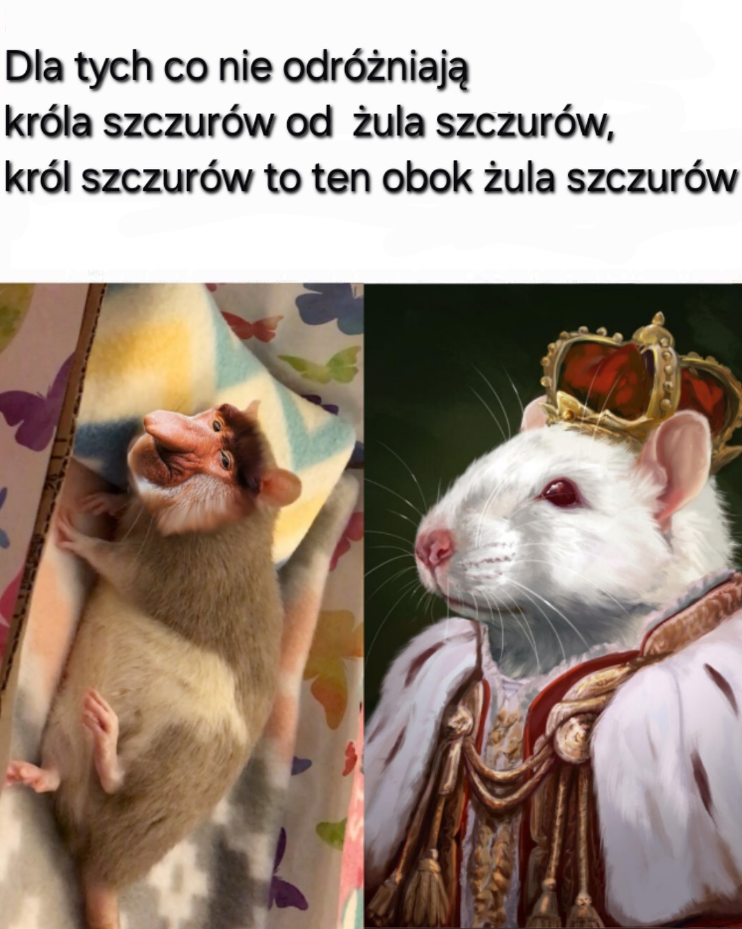 Dzieło sztuki #11645