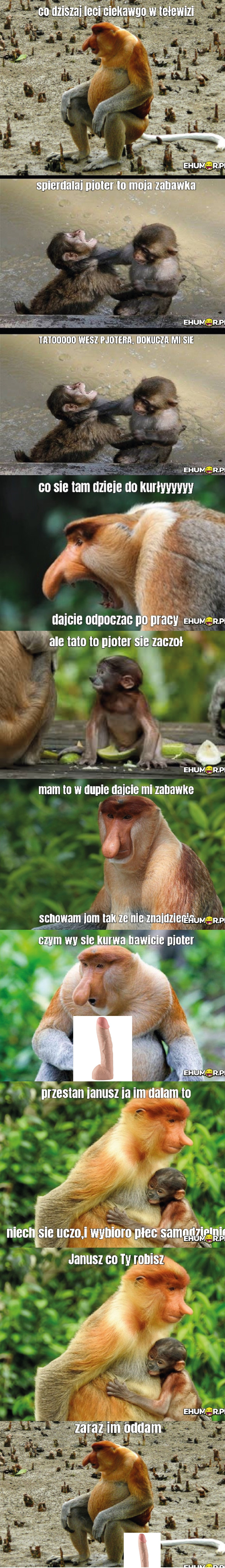 Dzieło sztuki #11655