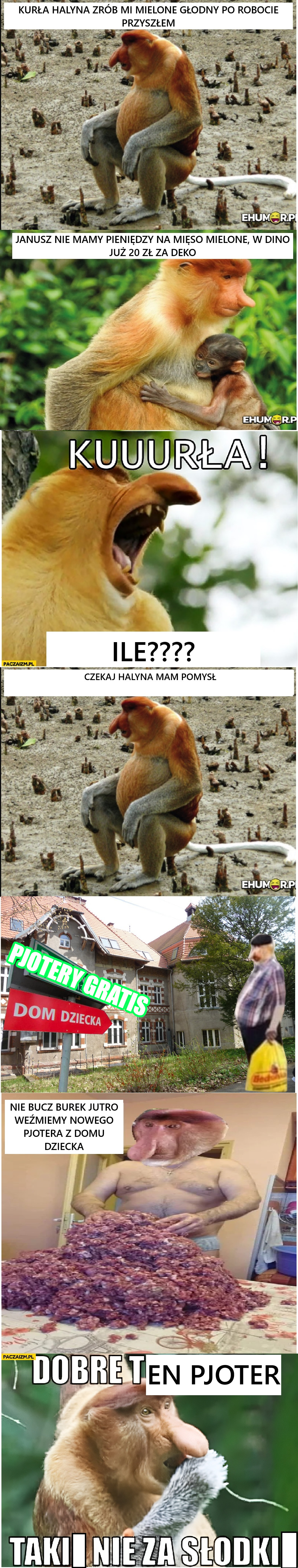Dzieło sztuki #11662