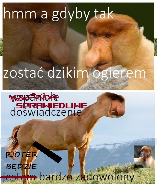 Dzieło sztuki #11677