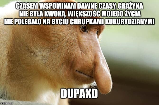 Dzieło sztuki #11679