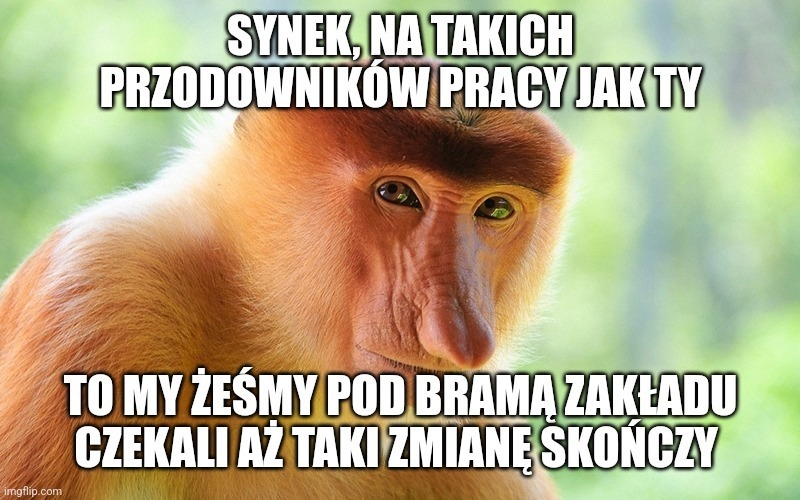 Dzieło sztuki #11681