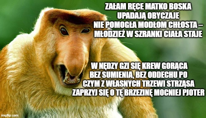 Dzieło sztuki #11701