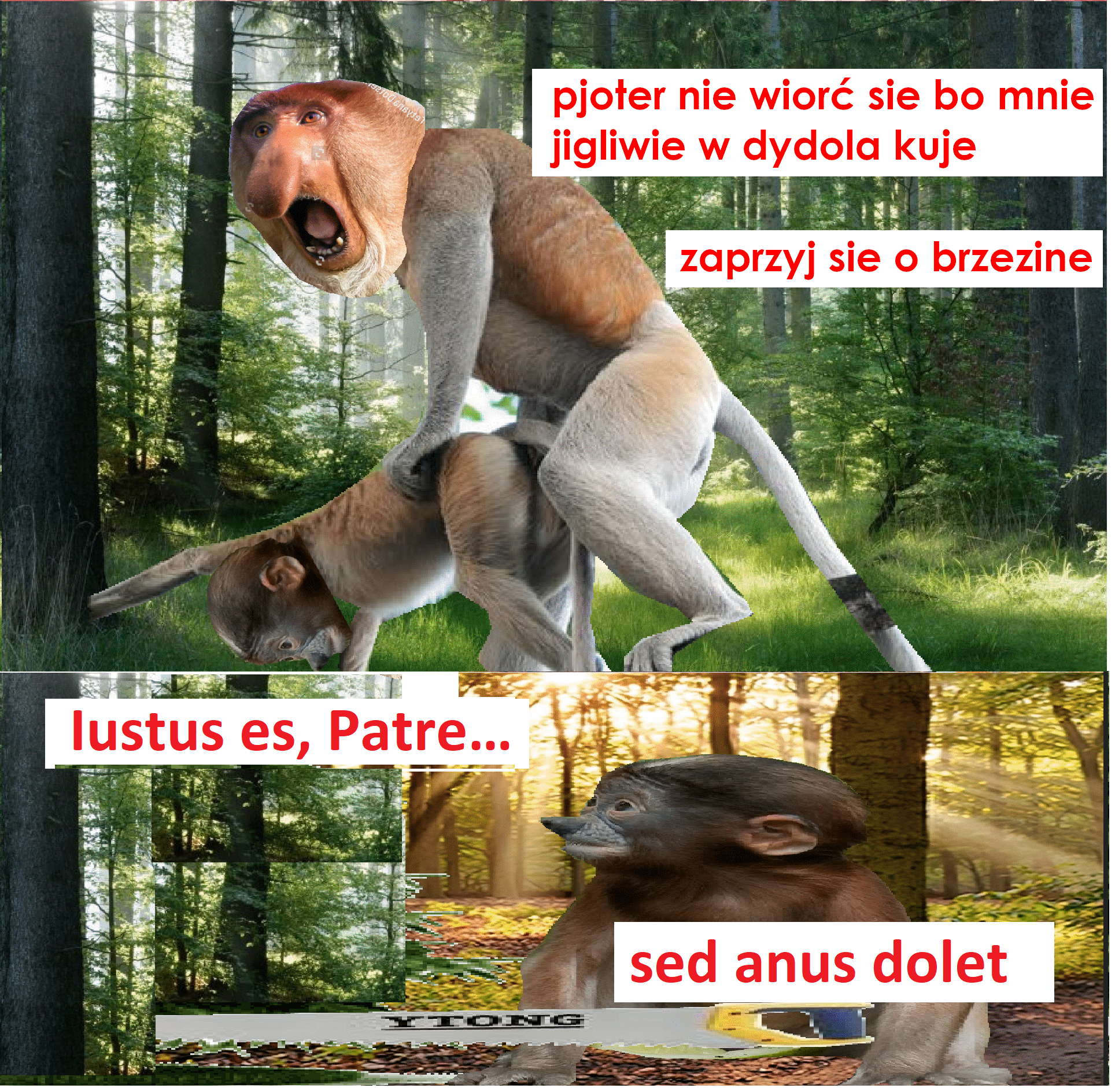 Dzieło sztuki #11722