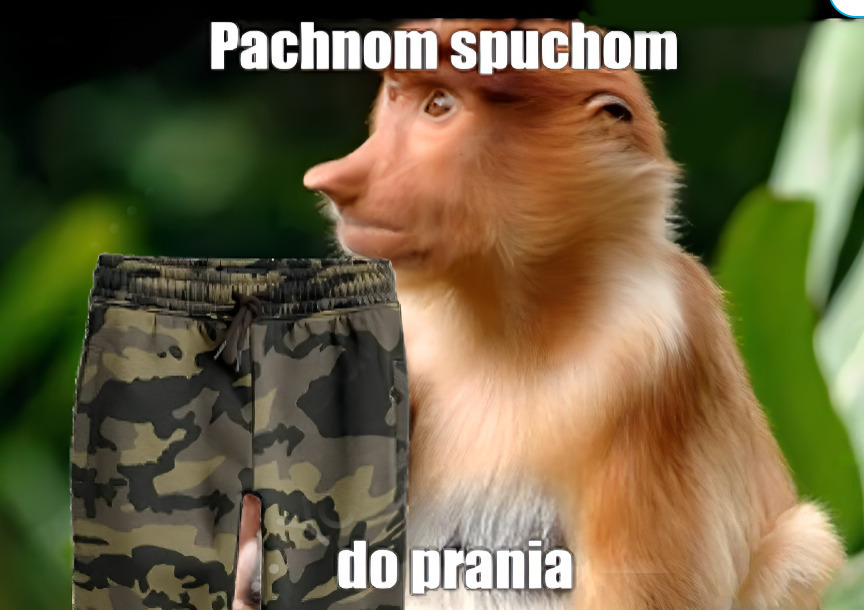 Dzieło sztuki #11750