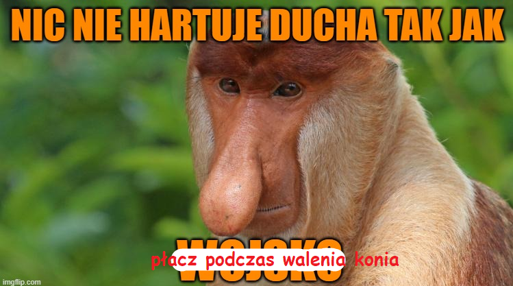 Dzieło sztuki #11756