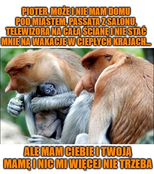 Dzieło sztuki #11757