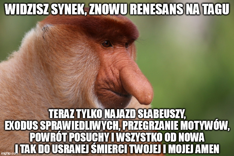 Dzieło sztuki #11764