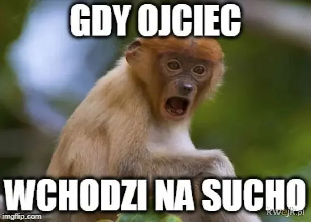 Dzieło sztuki #11784