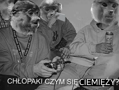 Dzieło sztuki #11804