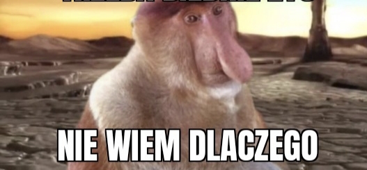 Dzieło sztuki #11806