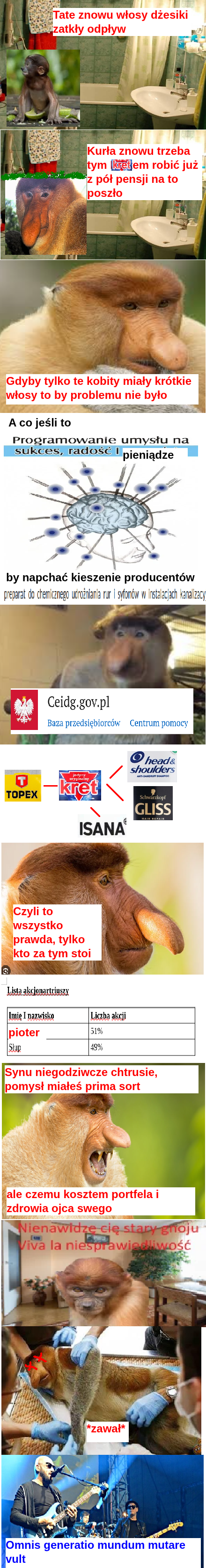 Dzieło sztuki #11808