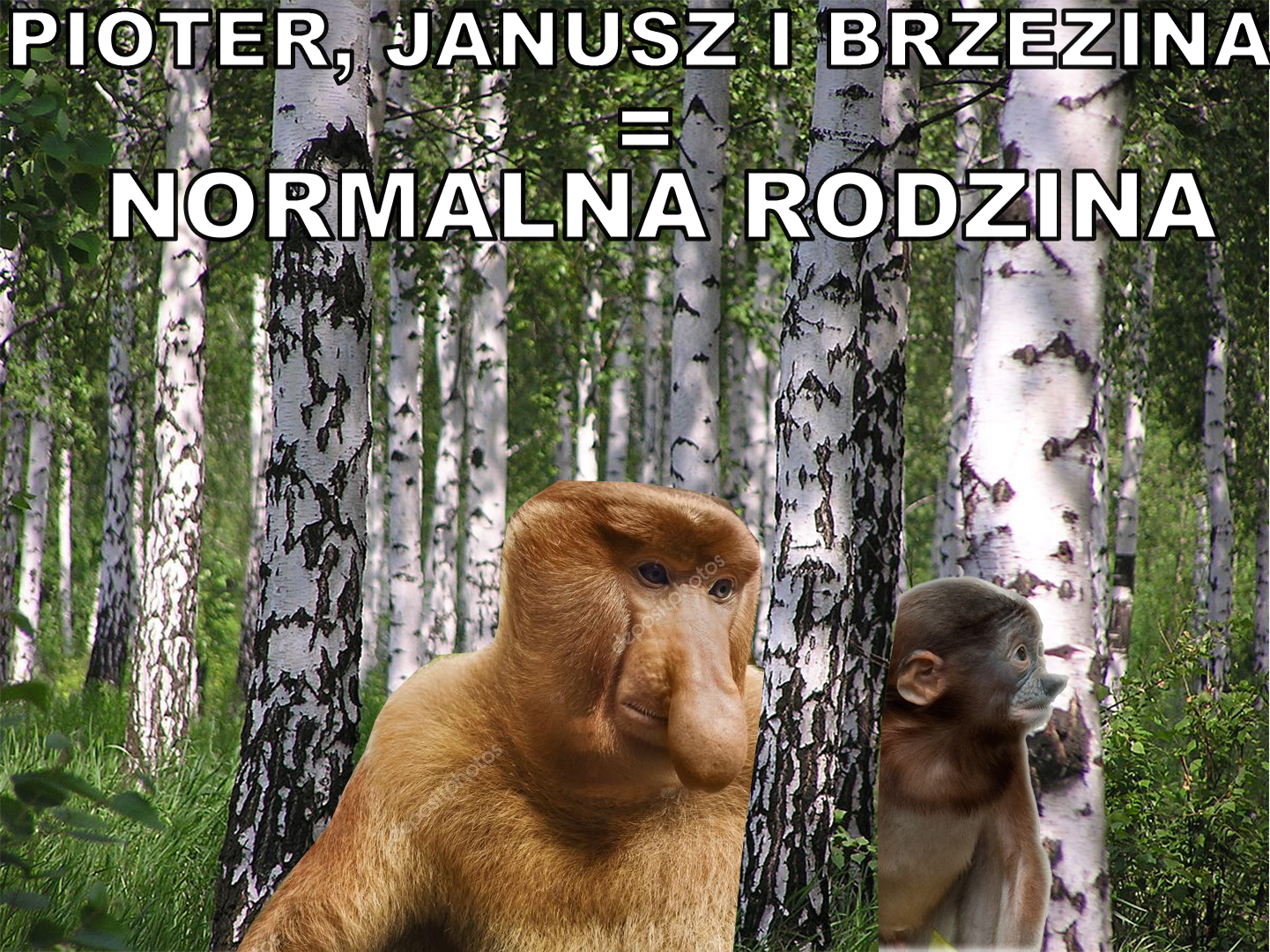 Dzieło sztuki #11823