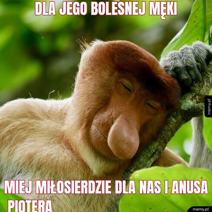 Dzieło sztuki #11845